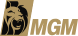 BetMGM Brasil